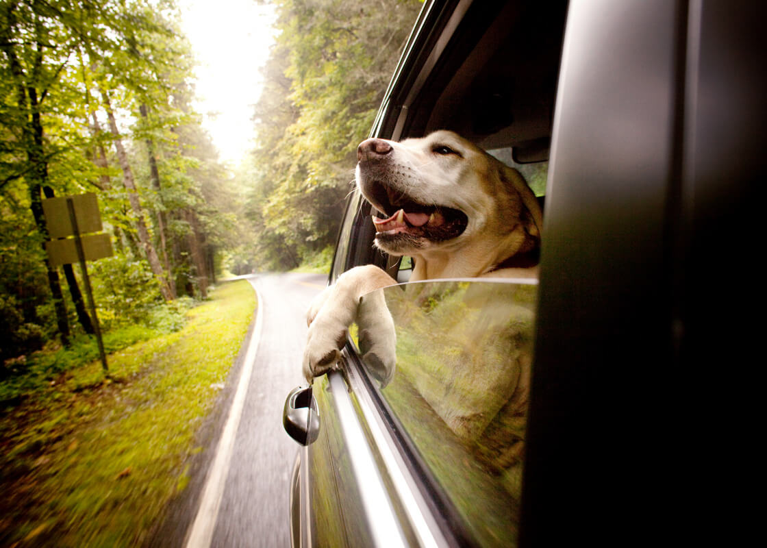 0112 opening slide 1-explore-brevard