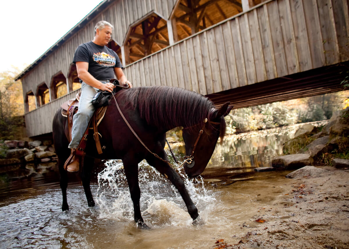 Horseback Riding in Western North Carolina