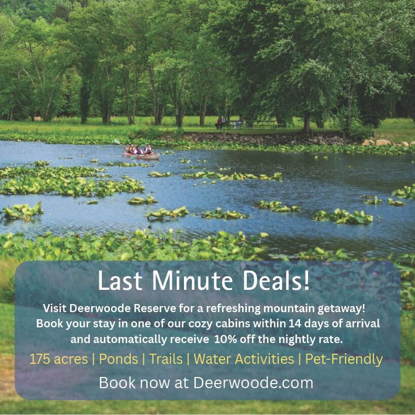 Lodging special for Deerwoode Reserve near Downtown Brevard