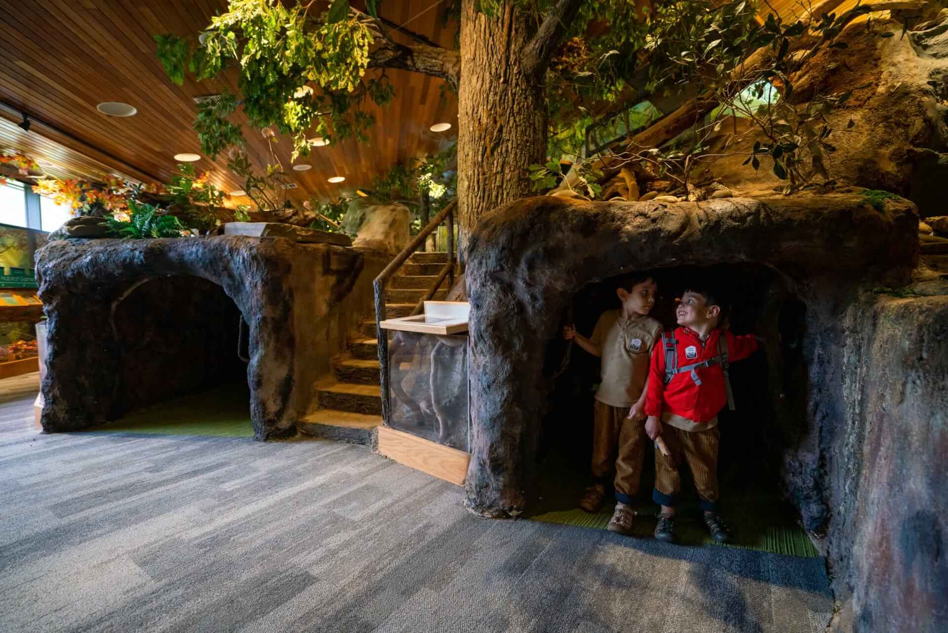 Two kids explore the Forest Discovery Center at the Cradle of Forestry in Pisgah National Forest
