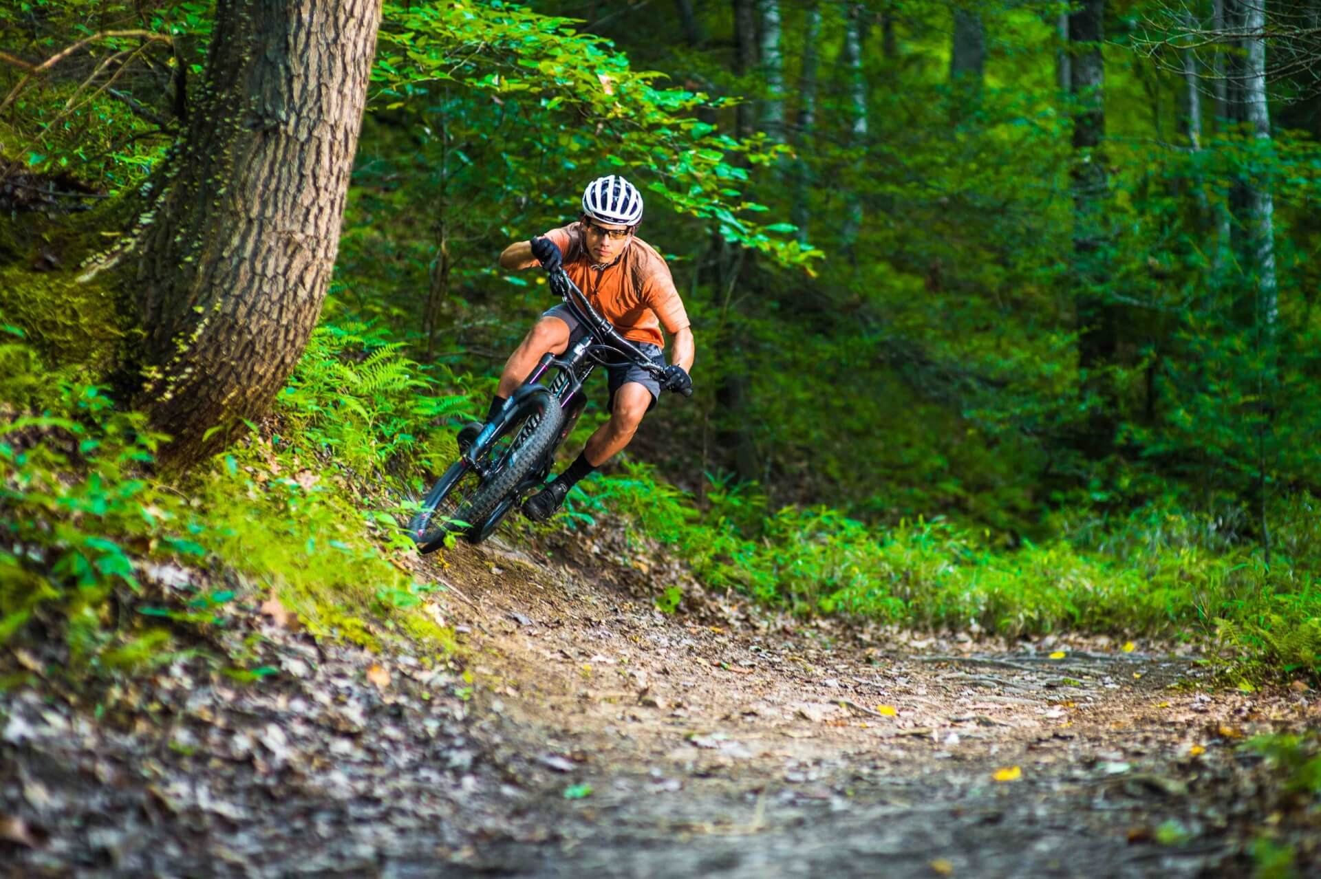 Mountain Biking Itinerary