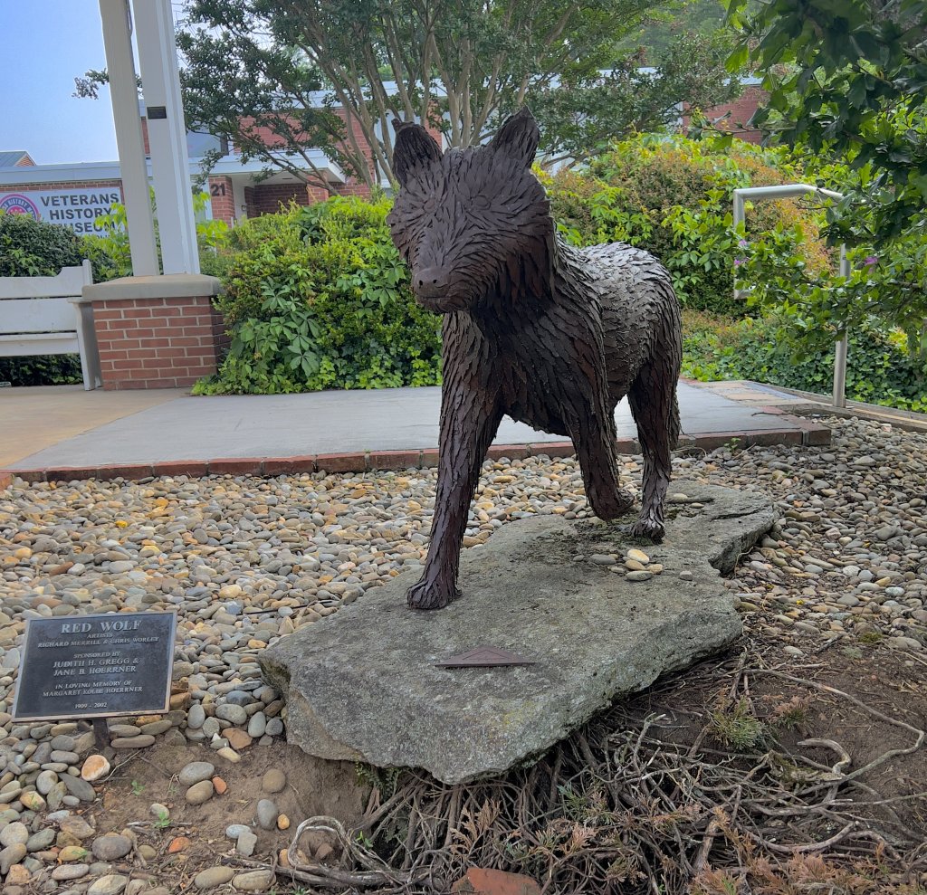 Red Wolf sculpture at the courthouse on the Brevard Sculpture Walk