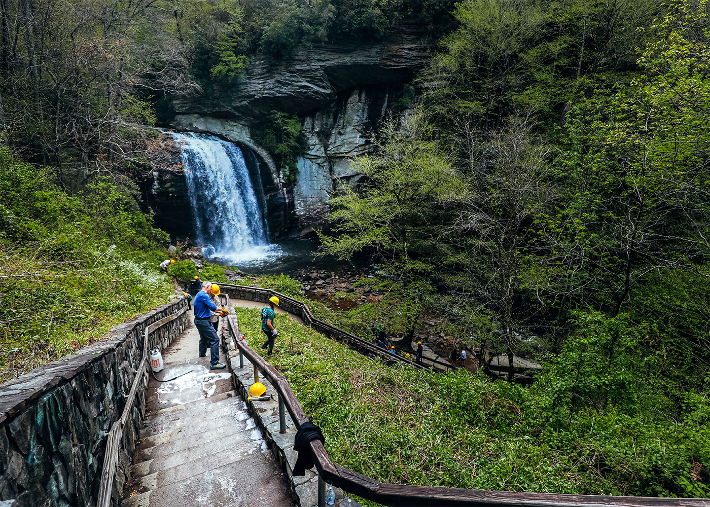 Pisgah Project Day Cleanup in Pisgah National Forest near Brevard, NC