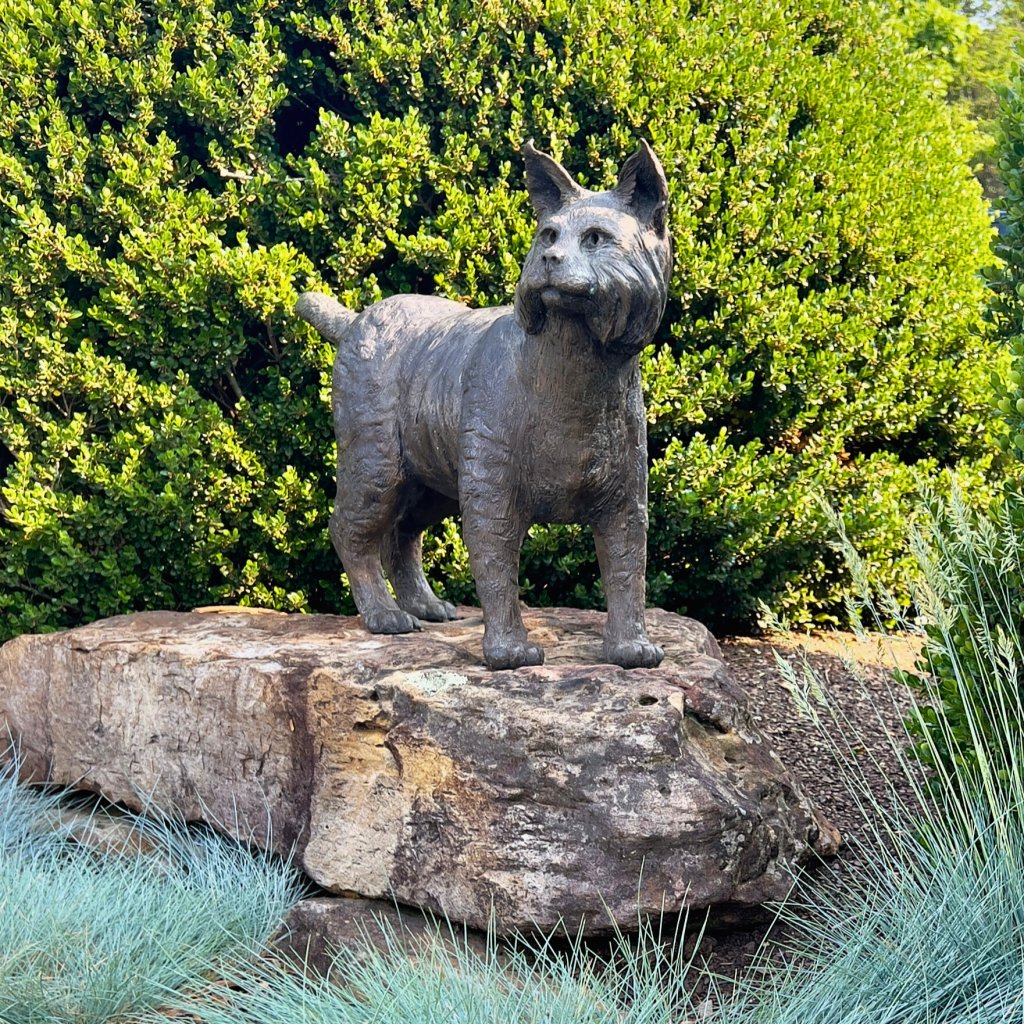 Bobcat sculpture at Water Oak Suites on the Brevard Sculpture Walk