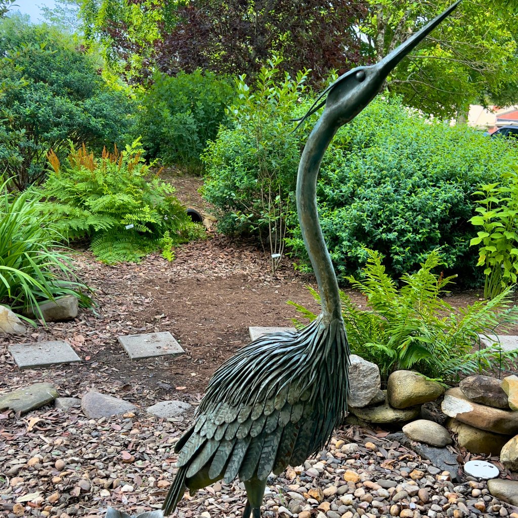 Great Blue Herron sculpture at Transylvania County Library on the Brevard Sculpture Walk