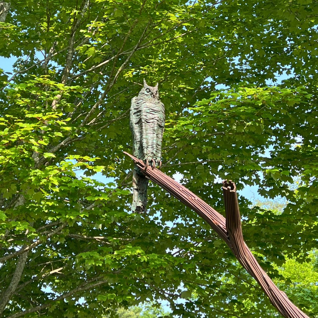 Owl sculpture on Broad Street on the Brevard Sculpture Walk