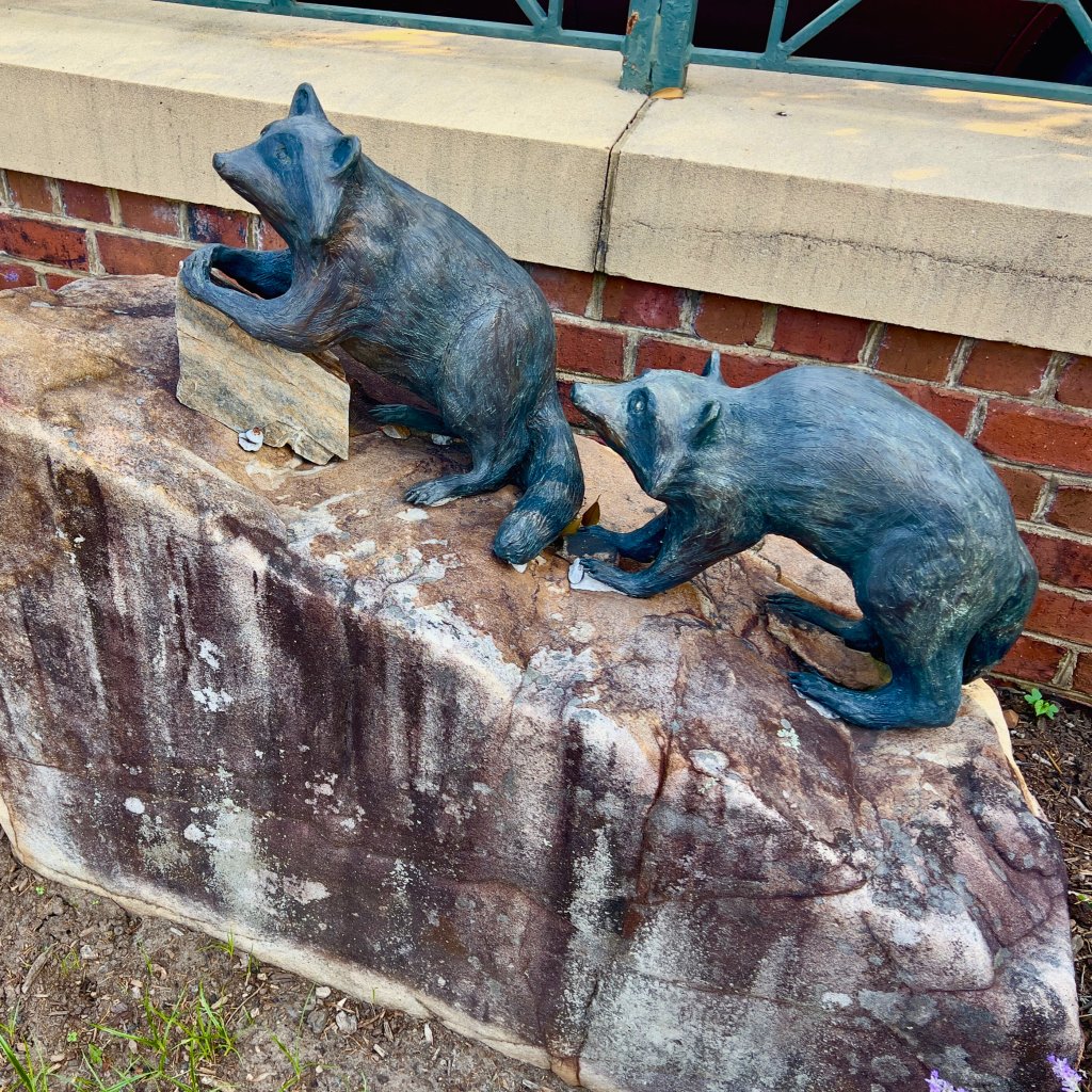 Raccoon sculpture at the Hollingsworth buildng on the Brevard Sculpture Walk