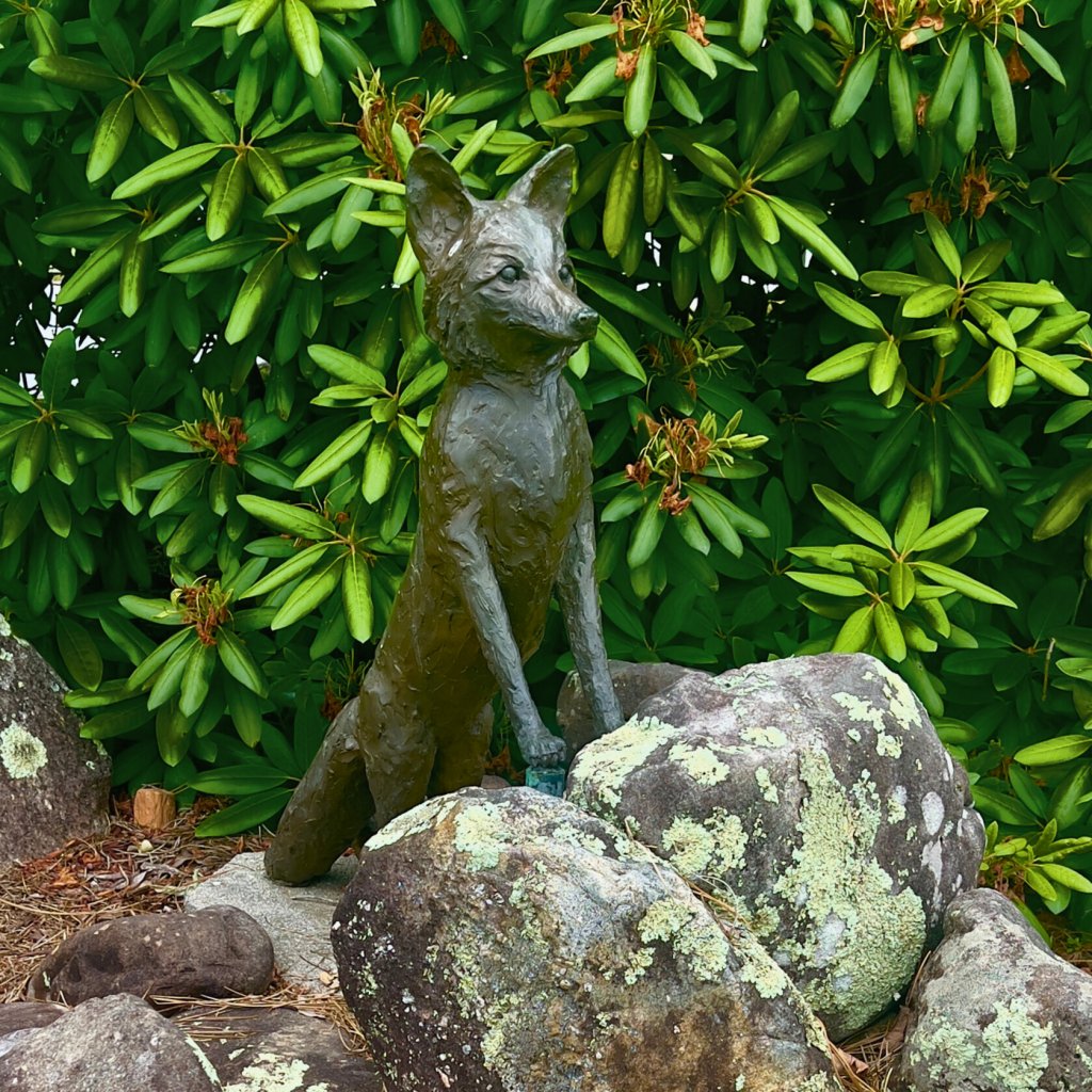 Red fox sculpture at St. Philip's Episcopal Church on the Brevard Sculpture Walk