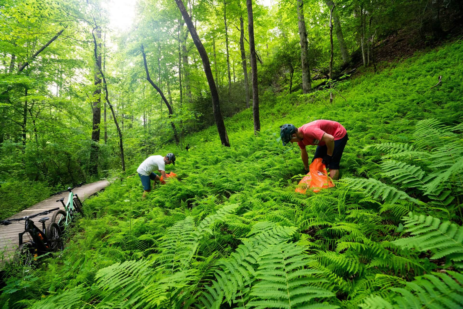 Cyclists clean up the forest in Pisgah National Forest